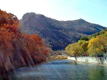 管家婆免费正版资起大全，柴油加油泵